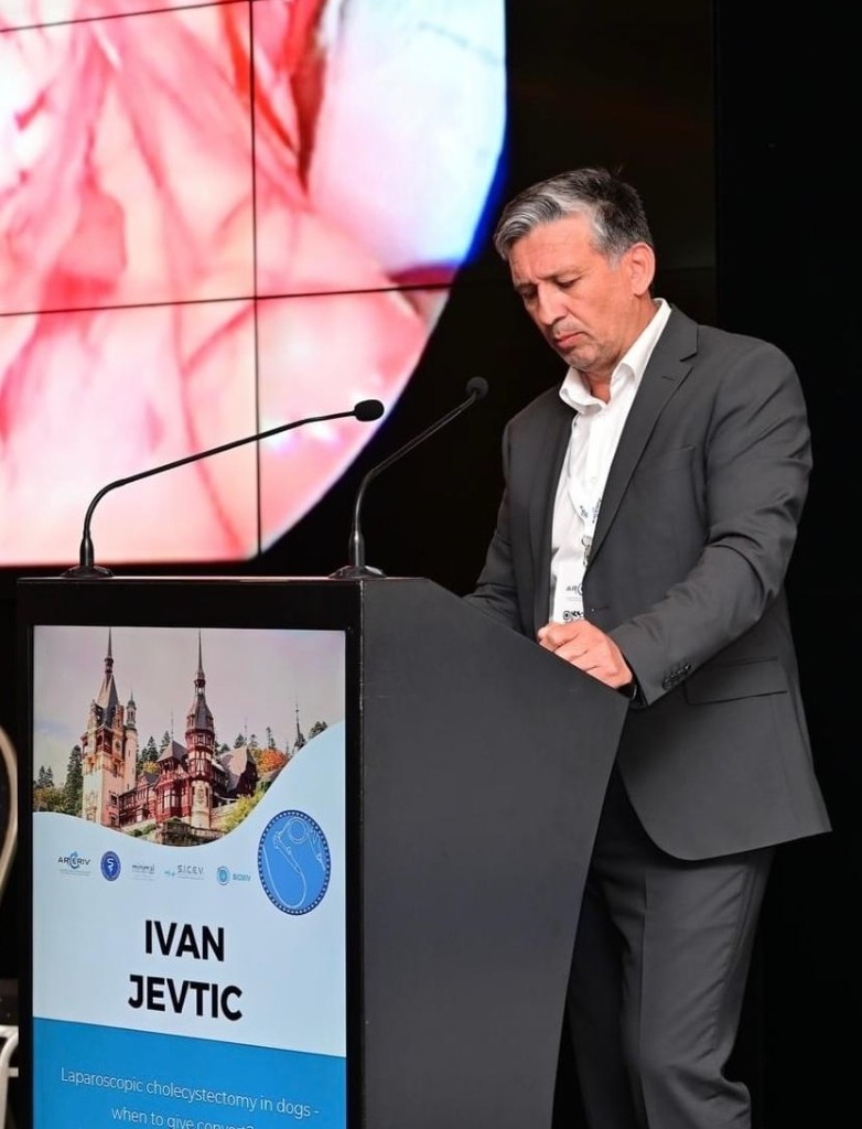 Dr Ivan Jevtić, IVAVET
